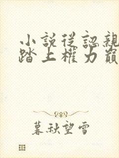 小说从认亲开始踏上权力巅峰格鱼精校版