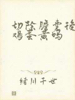 切除胆囊后能吃鸡蛋黄吗