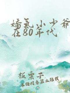 娇气小少爷重生在80年代