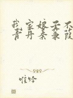 我家娘子不对劲青舟秦蒹葭