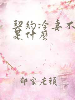 契约冷妻不好惹是什么