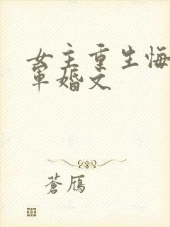 女主重生悔过的军婚文