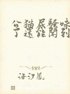 公猫尿骚味一年了还能闻到