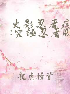 火影忍者疾风传:究极忍者风暴