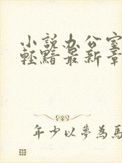 小说办公室隐婚轻黯最新章节列表免费