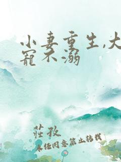 小妻重生,大佬宠不溺