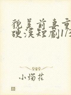 貌美前妻重生嫁硬汉短剧1/3