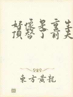 好像是重生后我顶替了前夫白月光