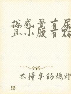 总感觉有尿意而且小腹有点痛