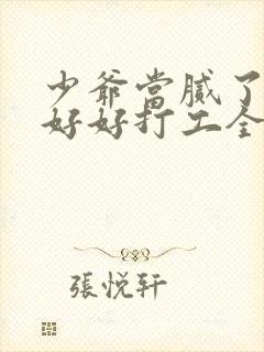 少爷当腻了只想好好打工全集在线观看