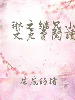 琳之继兄小说全文免费阅读