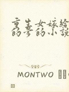 重生女嫁给老公的爹的小说