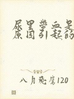 尿里带血是什么原因引起的