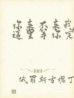 你来不来我都在这里等你完整版