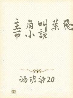 主角叫叶飞的都市小说