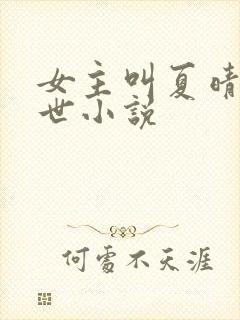 女主叫夏晴的末世小说
