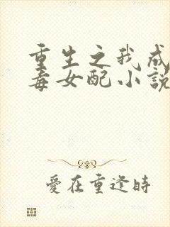 重生之我成了恶毒女配小说