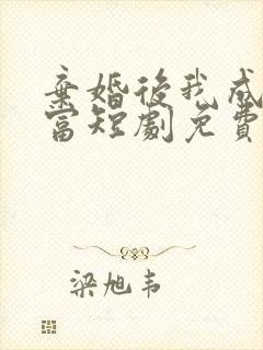 弃婚后我成了首富短剧免费观看