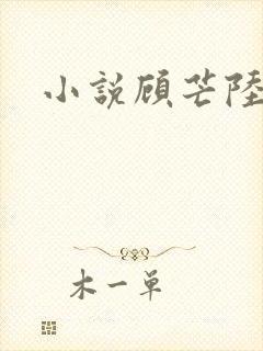 小说顾芒陆承洲