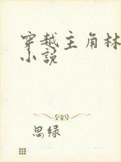 穿越主角林川的小说