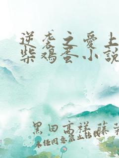 逆袭之爱上情敌柴鸡蛋小说完整版