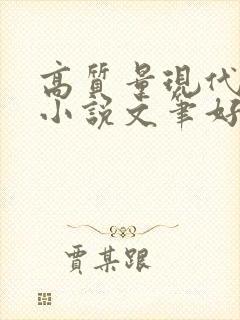 高质量现代言情小说文笔好