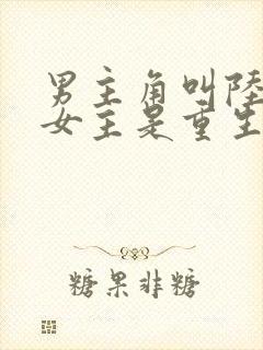 男主角叫陆霆琛女主是重生的