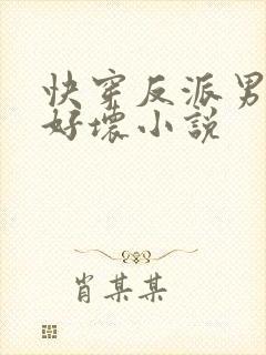 快穿反派男主你好坏小说