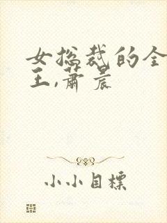 女总裁的全能兵王,萧晨