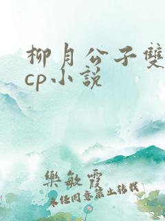 柳月公子双男主cp小说