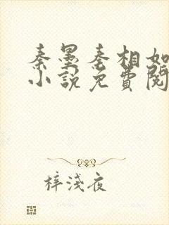 秦墨秦相如穿越小说免费阅读