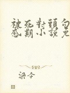 被死对头勾出易感期小说免费阅读