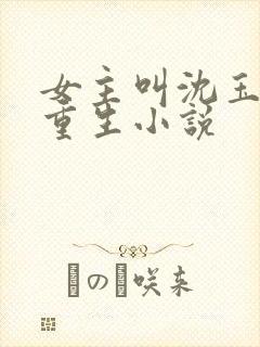 女主叫沈玉娇的重生小说