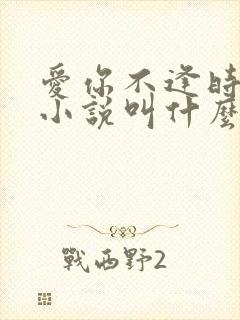 爱你不逢时原著小说叫什么