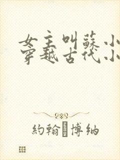 女主叫苏小小的穿越古代小说