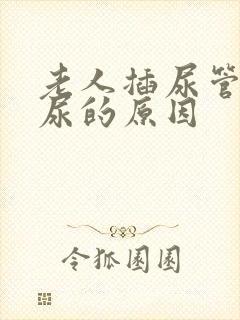 老人插尿管还漏尿的原因