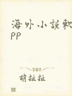 海外小说软件app