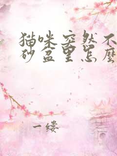 猫咪突然不尿猫砂盆里怎么办