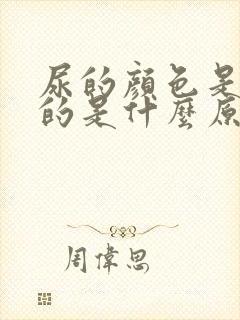 尿的颜色是白色的是什么原因