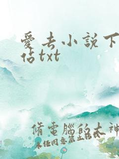 爱去小说下载网站txt