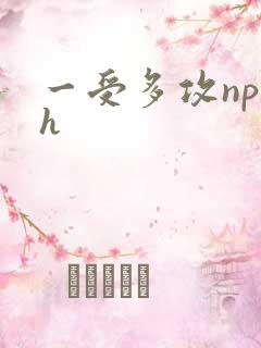 一受多攻np高h
