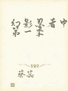 幻影忍者中文版第一季