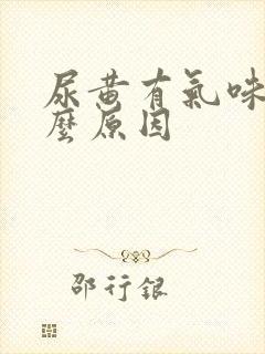 尿黄有气味是什么原因