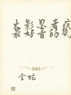 火影忍者疾风传最好看的几集