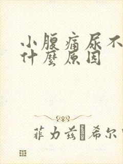 小腹痛尿不出来什么原因