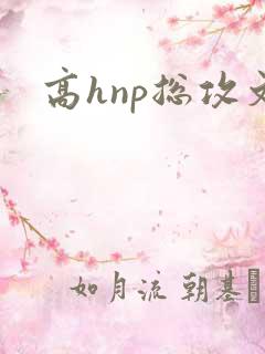 高hnp总攻文