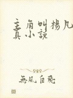 主角叫杨凡的修真小说