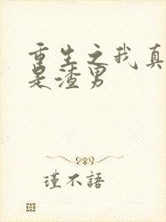 重生之我真的不是渣男