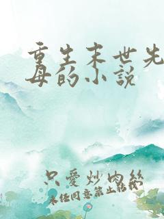 重生末世先杀圣母的小说