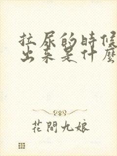 拉尿的时候有屎出来是什么原因